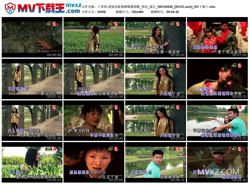 丁酉酉-爱情这杯酒谁喝都得醉_国语_流行_MB100545